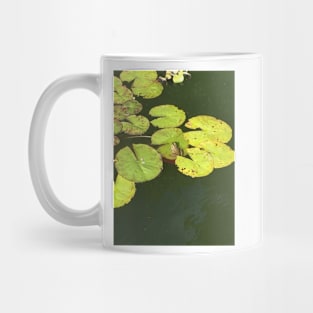 Frog Mug